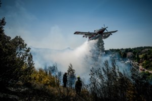 Φωτιά Νέα Στύρα: Ενα κύριο μέτωπο στο Νιμπορειό - "Χειρουργικές επεμβάσεις" στα σημεία της πυρκαγιάς - Επί τόπου ο Χρυσοχοΐδης