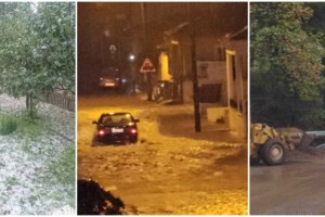 Θεσσαλία: Λεπτοσπείρωση και νόσος των πτηνοτρόφων απειλούν τους κατοίκους – Τι συστήνουν οι ειδικοί