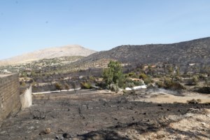 Οριοθετήθηκε η φωτιά στην Παιανία - Ήχησε το 112, μεγάλη κινητοποίηση της Πυροσβεστικής [βίντεο]