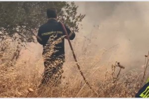 Πύρινη λαίλαπα στη Δυτική Αττική: Δύο κρίσιμα μέτωπα - Μάχη με τη φωτιά στα Μέγαρα, μία ανάσα από τα Βίλια - εικόνα 3