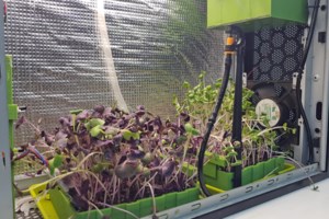 Μαθητές από το Κιλκίς κερδίζουν την πρωτιά για το "Καλύτερο Promo Video Εικονικών Επιχειρήσεων 2022" του JA Greece [εικόνες] - εικόνα 7