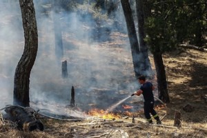 Ανεξέλεγκτη η φωτιά στη Ρόδο: Εκκενώσεις με πλωτά του Λιμενικού και ιδιωτικά σκάφη - Τους παίρνουν ακόμη και με φορτηγάκια - εικόνα 3