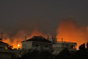 Αποκαρδιωτικός απολογισμός: Το 37% των δασών της Αττικής κάηκε τα τελευταία 8 χρόνια - εικόνα 4