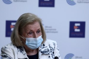 Διοικητής ΠΑΓΝΗ για την 44χρονη: Μίλησα μαζί της τη μέρα που ήρθε στο νοσοκομείο - Δεν μπορούσα να φανταστώ τέτοια εξέλιξη - εικόνα 2