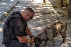 Θεσσαλονίκη: Συμμορία με... ειδικότητα τα "ριφιφί" - 17 διαρρήξεις με λεία άνω των 138.000 ευρώ [εικόνες] - εικόνα 4