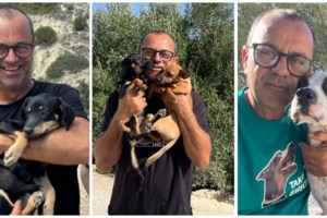 Τάκης Προεστάκης: Τα ζώα υποφέρουν και θα συνεχίσουν να υποφέρουν αν δεν μάθουμε να συνεργαζόμαστε για το καλό τους - εικόνα 2