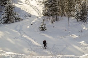 Επιχείρηση διάσωσης 8 ορειβατών στον Ταΰγετο - Γλίστρησαν και έπεσαν σε χαράδρα, αναφορές για τραυματίες