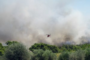Νέα φωτιά στη Χαλκιδική: Κοντά στον οικισμό Παρθενώνας στη Σιθωνία – Επιχειρούν αεροσκάφη [Βίντεο]