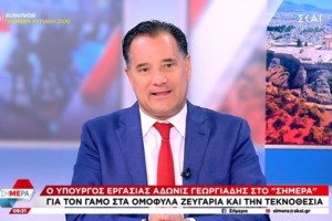 Γιατί η κυβέρνηση προχωράει στον γάμο των ομόφυλων ζευγαριών: Τι προβλέπεται για τα δικαιώματα των παιδιών