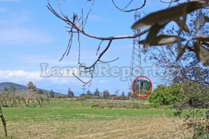 Εξαρθρώθηκε σκληρή συμμορία ανηλίκων που λήστευε περαστικούς με μαχαίρια - Είχαν ρημάξει την Αθήνα