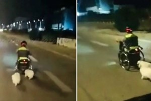 Βάρκιζα: Ανάρτηση "γροθιά" για τον θάνατο του 40χρονου με το αμαξίδιο - "Δεν φταίει μόνο ο υπερήλικας οδηγός" - εικόνα 2