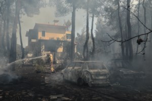 Φωτιά στη Σταμάτα: "Θα είχαμε νέο Μάτι αν δεν είχαν γίνει οι καθαρισμοί" - Συνελήφθη 63χρονος μελισσοκόμος [Βίντεο] - εικόνα 2