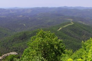 Εκτός ελέγχου η φωτιά στο δάσος Δαδιάς: Στάχτη μέχρι στιγμής 8.000 στρέμματα - "Δεν εξελίσσεται καλά" [Βίντεο] - εικόνα 2