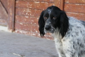 Ο Αρης και ο Φοίβος σε άσπρο - μαύρο: Ό,τι ζωή και να έχουν ζήσει μέχρι τώρα, δεν τους άφησε τη δυσπιστία στα μάτια - εικόνα 3