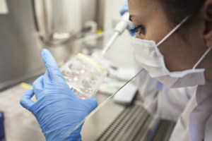 Τι είναι το καρκινογόνο γονίδιο TP53 του δότη σπέρματος - Εχουν γεννηθεί 18 παιδιά σε 11 οικογένειες στην Ελλάδα - εικόνα 2