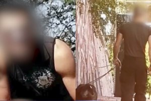 Νέες καταγγελίες για τον ιδιοκτήτη πίτμπουλ που βάζει τον σκύλο του να σκοτώνει γάτες