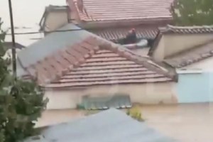 Μουζάκι Καρδίτσας: Γυμναστήριο κατέρρευσε σαν χαρτόκουτο και έπεσε στο ποτάμι - Σοκαριστικό βίντεο