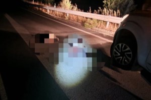 Αιτωλοακαρνανία: Αδιανόητο- Έκοψε ένα τσαμπί σταφύλι και τον "πάτησε" με το αγροτικό - εικόνα 2