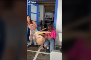 Ενα από τα μεγαλύτερα πάρκα των Μεσογείων "γεννιέται" στο Πανόραμα Παλλήνης [εικόνα] - εικόνα 2