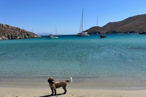 Πολιτική κόντρα για τις δηλώσεις Γεωργιάδη σχετικά με τις υποκλοπές: Θα σοκαριζόμουν αν δεν με παρακολουθούσαν