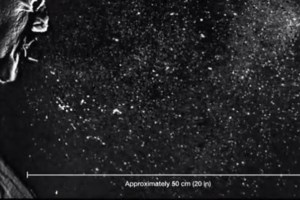 Κορονοϊός- Ερευνα σοκ: Ο ιός μεταδίδεται πολλές ημέρες πριν από την εμφάνιση των πρώτων συμπτωμάτων - εικόνα 2