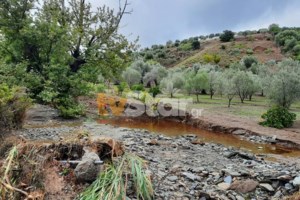 Κακοκαιρία Μπάλλος: Βίντεο ντοκουμέντο από τη διάσωση οικογένειας Γερμανών τουριστών στην Εύβοια