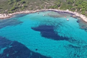 Αγριδιά: Η κρυμμένη παραλία "διαμάντι" της Χαλκιδικής - Με άμμο και καταγάλανα νερά [εικόνες - βίντεο]