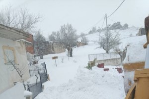 Σοκ στη Λαμία: Ανήλικοι προσπάθησαν να δηλητηριάσουν συμμαθητή τους με ποντικοφάρμακο