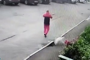 Φρίκη στην Ιταλία: Δολοφόνησαν τον διαιτητή Ντανιέλε Ντε Σάντις και τη σύντροφό του - εικόνα 2