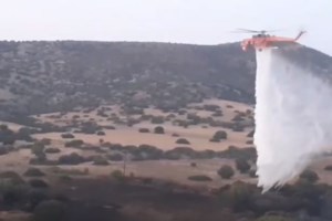 Έβρος - Δεύτερη ημέρα καίει η φωτιά στην Λευκίμμη -  Μάχη για να μην επεκταθεί στο δάσος της Δαδιάς - εικόνα 3