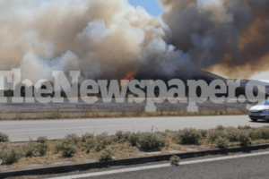 Φωτιά σε δύσβατο σημείο στα Χανιά: Οι άνεμοι δυσκολεύουν το έργο της πυροσβεστικής [εικόνες-βίντεο]