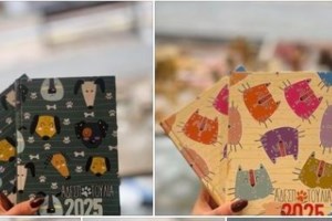 Νέα Σμύρνη: Νεαρός στόλισε το αυτοκίνητό του με... 1.780 χριστουγεννιάτικα λαμπιόνια - "Απολύτως νόμιμο", λέει ο Μπαλάσκας