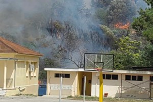 Φωτιά στο Βελεστίνο: Ξέσπασε ο περιφερειάρχης Θεσσαλίας - "Η φωτιά είναι ανθρωπογενής, ντροπή, δεν αγαπάνε το σπίτι τους"