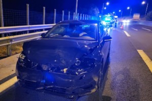 Κοζάνη: Νεκρή η αρκούδα που συγκρούστηκε με αυτοκίνητο στην Εγνατία Οδό