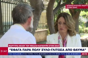 Ν. Φιλαδέλφεια: Συνελήφθη ο Έλληνας οπαδός που αναζητούνταν - Το βίντεο που τον "έκαψε", έρχονται νέα εντάλματα σύλληψης - εικόνα 3