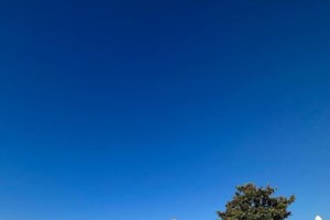 Δέσποινα Βανδή - Βασίλης Μπισμπίκης: Ακούνε κρητική μουσική στο αυτοκίνητο - Στα Χανιά το ζευγάρι [εικόνες-βίντεο]