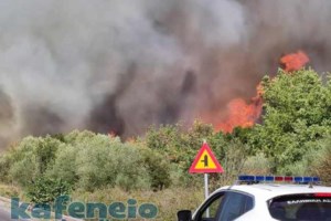 Φωτιά στην Κάρυστο: Καίγεται δασική έκταση κοντά στους οικισμούς Βρέστηδες και Πρηνιά