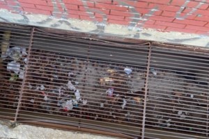 Νέα Ιωνία: "Το παιδί έκλαιγε, το κεφάλι του θα μπορούσε να θρυμματιστεί", λέει ο πατέρας του 12χρονου - Διατάχθηκε ΕΔΕ