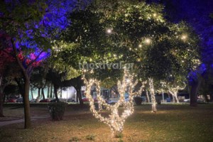 Βόλος: Καταστράφηκε από φωτιά η μεγάλη φάτνη στο ναό Αγίου Νικολάου - Ευτυχώς δεν υπήρχαν ζωντανά ζώα [Βίντεο]