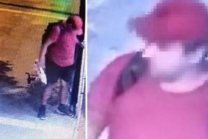 Απαλλάχτηκε με βούλευμα ο 42χρονος που κατηγορήθηκε ότι συνέθλιψε με το πόδι του γατάκι