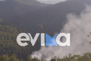 Εύβοια: Οριοθετήθηκε η φωτιά σε δάσος στην περιοχή Γούβες - εικόνα 2