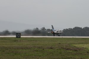 Απίστευτο περιστατικό στο Ηράκλειο: Καταγγέλλει ότι τρεις... γάτες του επιτέθηκαν και τον έστειλαν στο νοσοκομείο