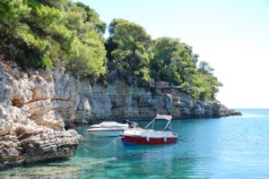 Στην Αλόννησο για το "AMoS Film Festival" ο Πρίγκιπας Αλβέρτος του Μονακό - Το πρώτο φεστιβάλ με επίκεντρο τη θάλασσα - εικόνα 2