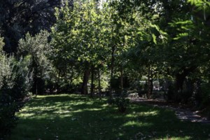 Ένας 15χρονος και ένας 18χρονος συνελήφθησαν στον ΗΣΑΠ για ληστείες σε βάρος ανηλίκων