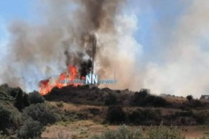 Ναύπακτος: Οριοθετήθηκε η φωτιά που ξέσπασε σε χορτολιβαδική έκταση