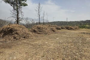 Παρατείνεται η προθεσμία για τους καθαρισμούς οικοπέδων μέχρι τις 15 Ιουνίου - Επίσκεψη Μητσοτάκη στο υπ. Πολιτικής Προστασίας - εικόνα 4