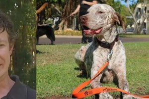 "Monster": Μικρός βασάνιζε ζωάκια, στα 13 ασελγούσε σε άλογα, μετά βίαζε σκυλάκια -  Ανατριχιάζει ο Βρετανός ζωολόγος - εικόνα 3