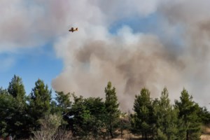 Υπό έλεγχο η φωτιά στο Μαρτίνο - Εξετάζεται το σενάριο εμπρησμού [Εικόνες] - εικόνα 2