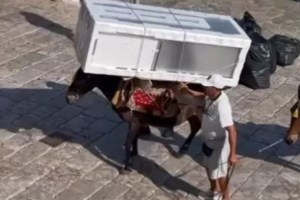 Έξαλλη η Καίτη Γαρμπή με τα φορτωμένα γαϊδουράκια της Ύδρας: "Φτου σας!"