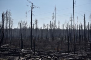 Η φωτιά στο Τσερνόμπιλ καίει ακόμη - Αποπνικτική η ατμόσφαιρα στο Κίεβο [εικόνες] - εικόνα 5